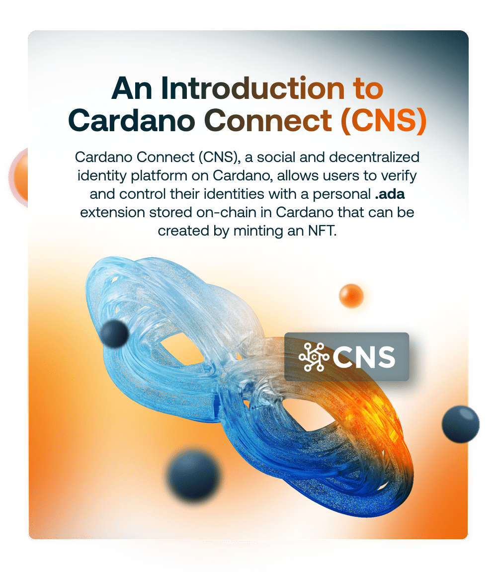 3 Blog An Introdction To CNS