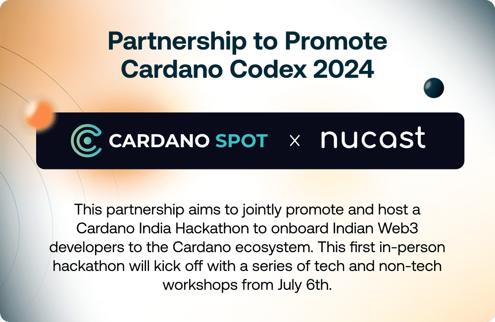 6 Blog Cardano Codex 2024