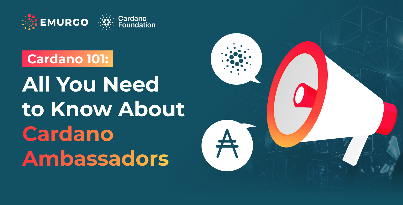 Cardano-101-All-You-Need-to-Know-About-Cardano-Ambassadors.png