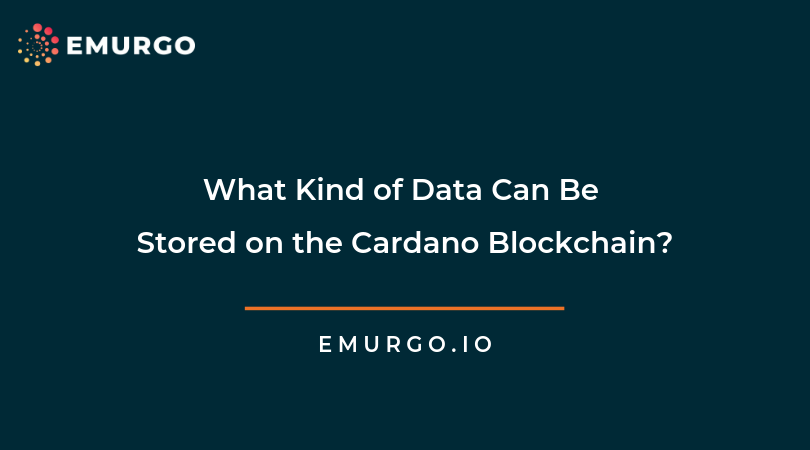 cardano-1.png