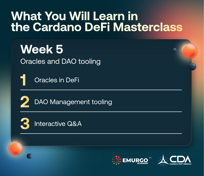 What-You-Will-Learn-in-the-Cardano-DeFi-Masterclass-Infographic-W5