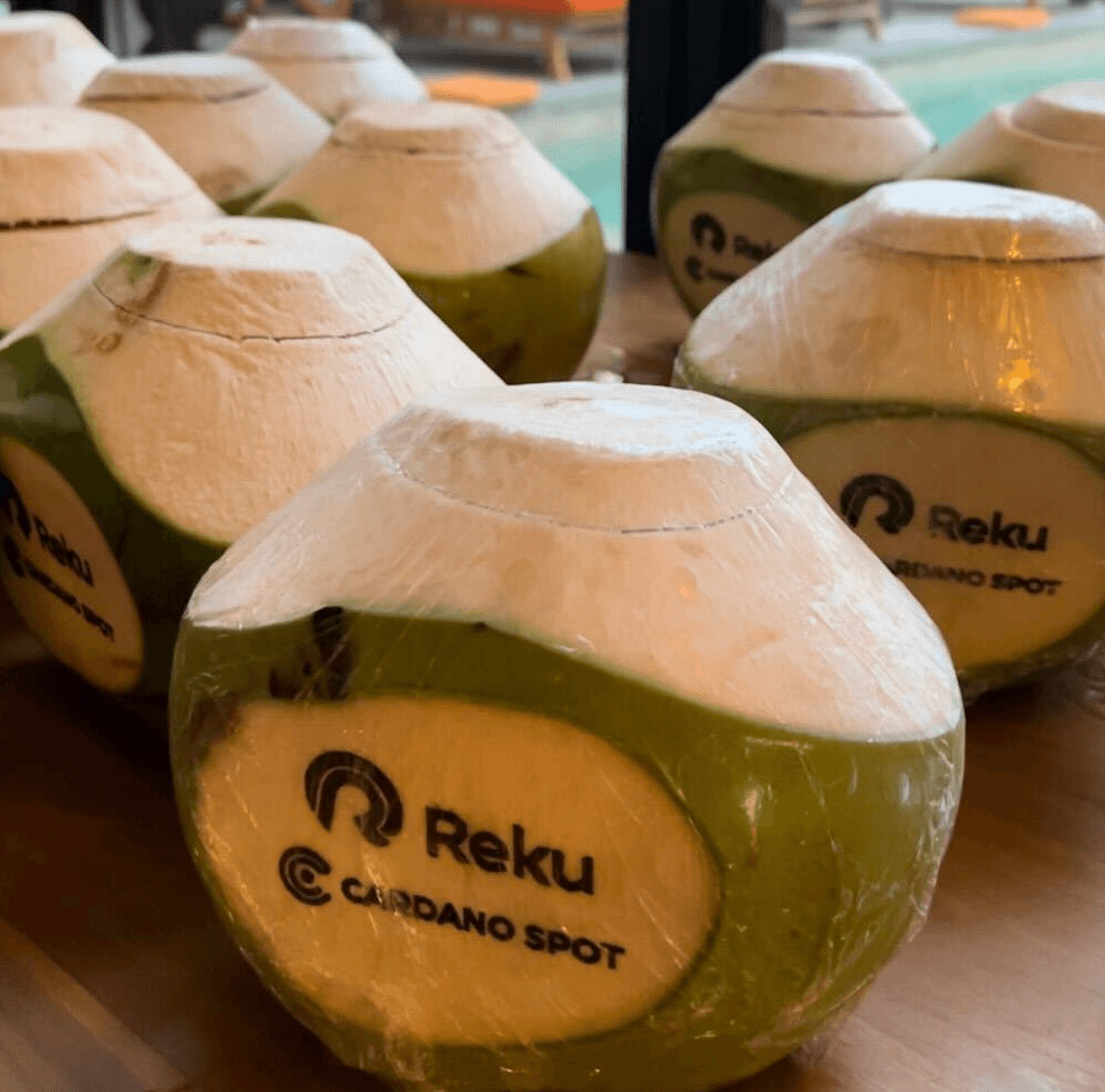 Cardano Spot Reku Indonesia Partnership 2