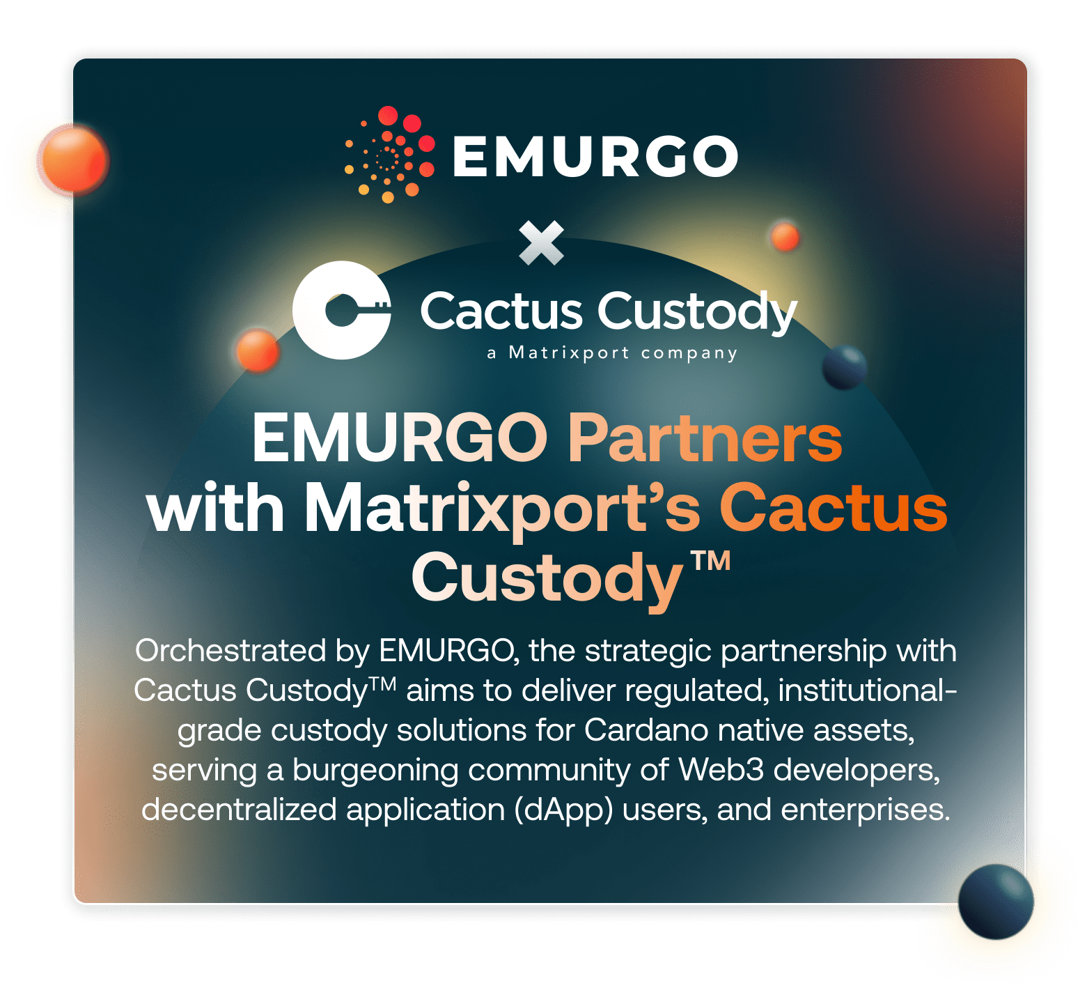 2 Blog Cactus Custody
