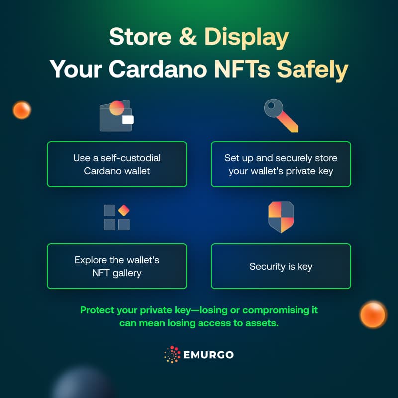 How-to-Store-Send-and-Receive-Cardano-NFTs-IG