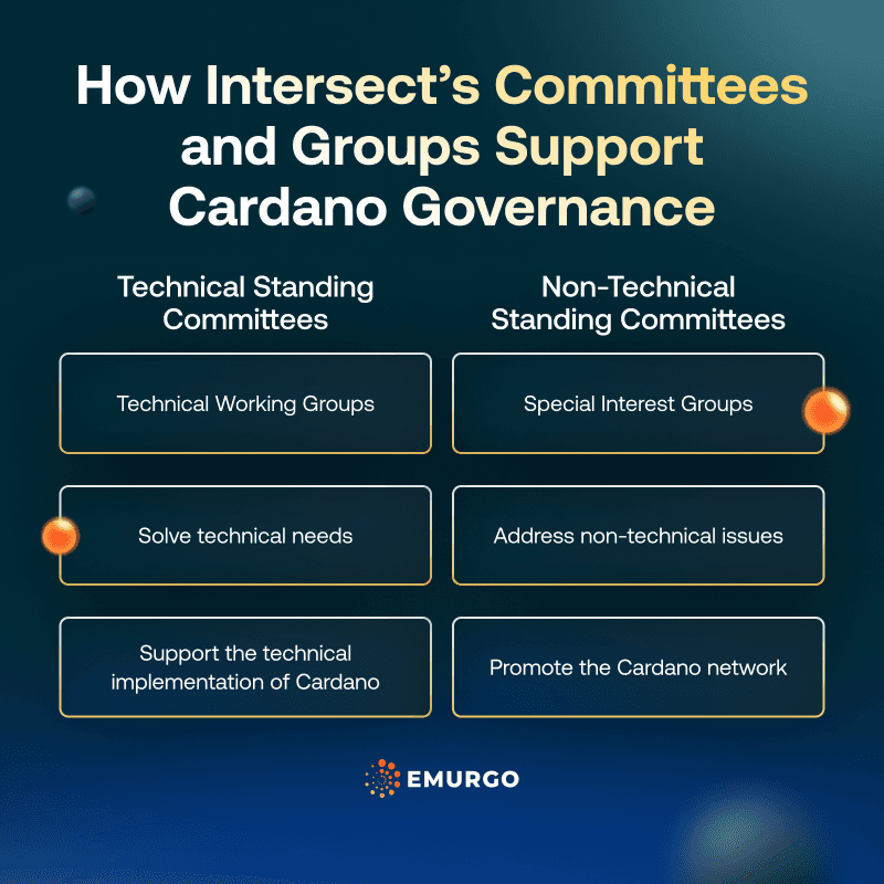 AB How Intersect’s Committees And Groups Support Cardano Governance IG
