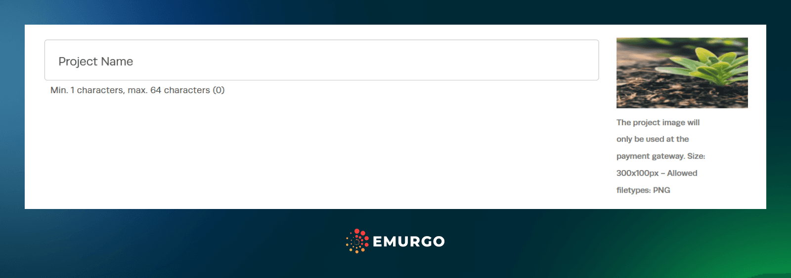 SC How To Create A Cardano NFT Using NMKR 2 4