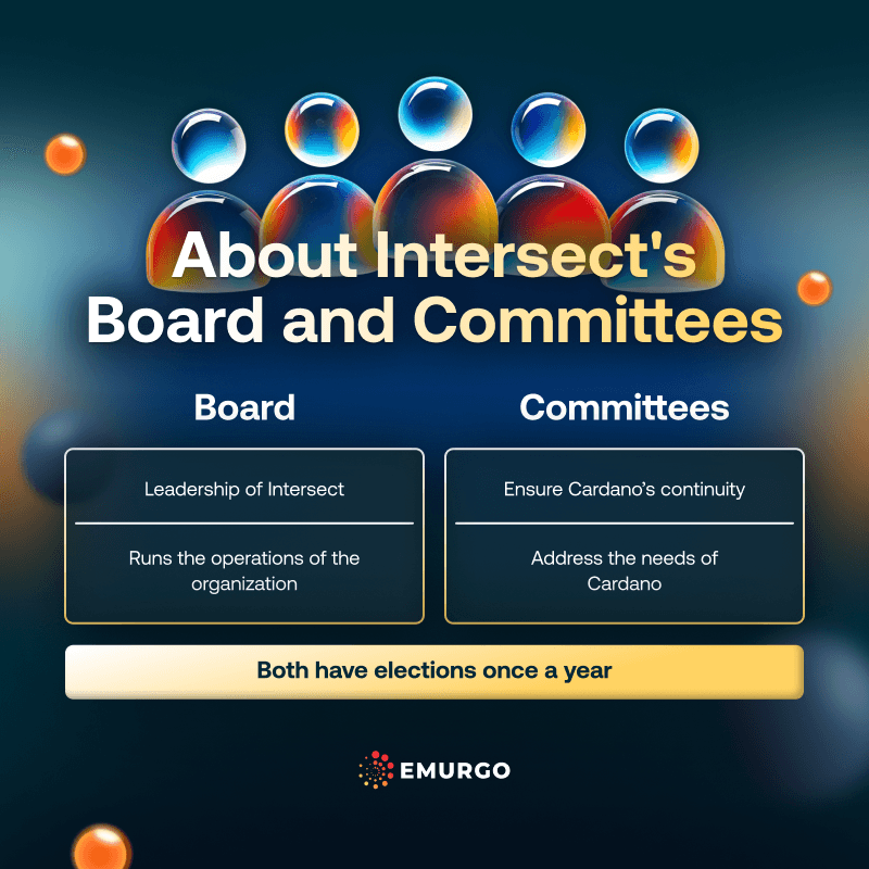 What-to-Know-About-Intersect-Elections-IG